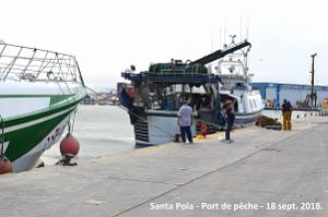 11 SANTA POLA PORT DE PECHE (86)